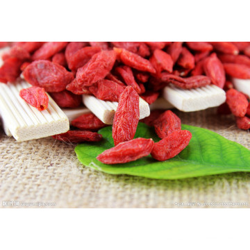 Dried Goji Berry Super Fruit From Ningxia, China